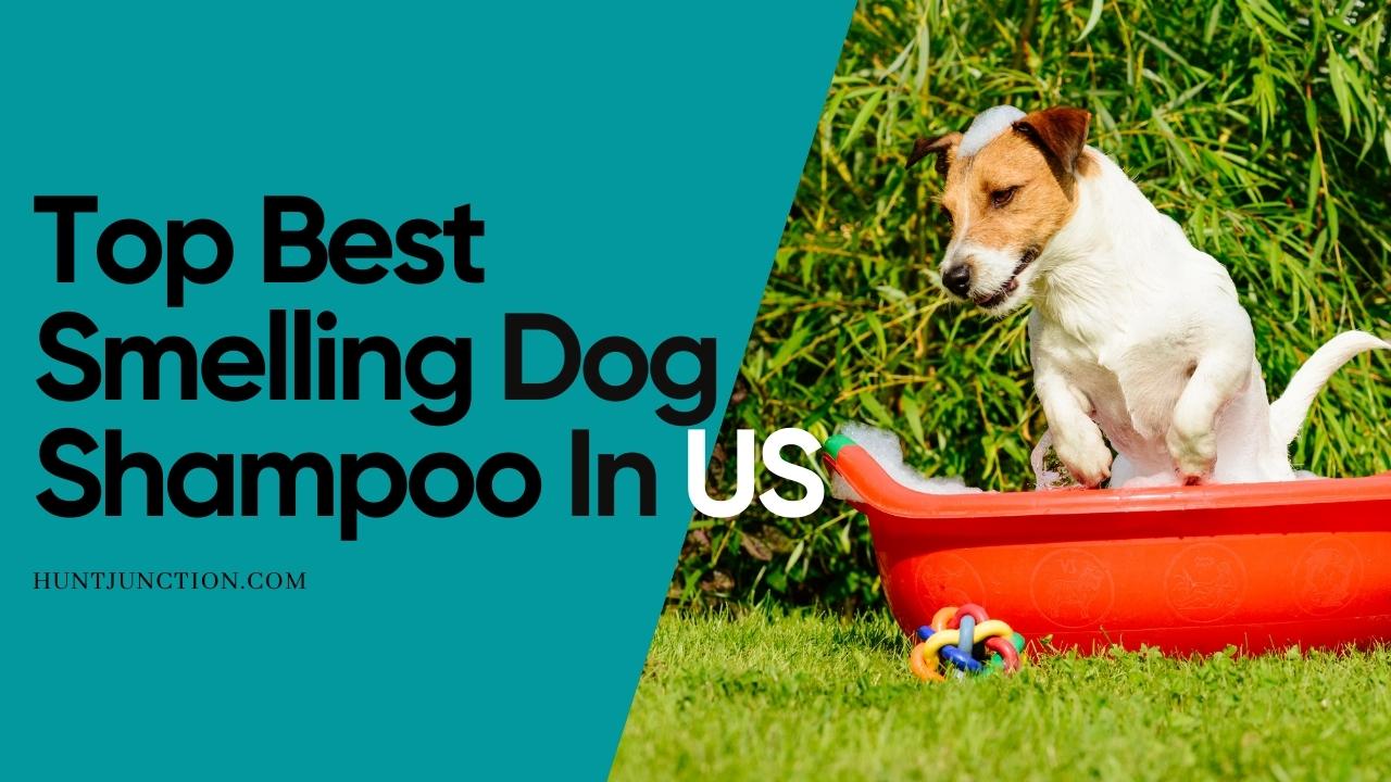 Top Best Smelling Dog Shampoo In US